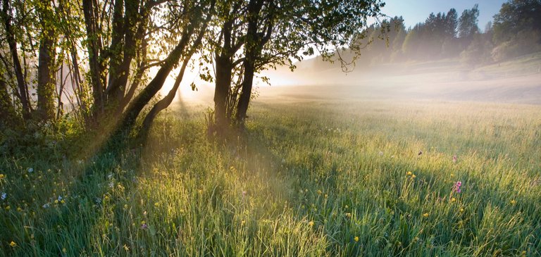 Formamos um futuro melhor - Sustentabilidade SMA